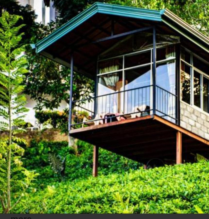 Tea Villas Ella Exteriér fotografie