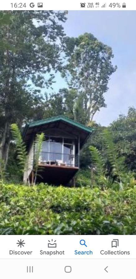 Tea Villas Ella Exteriér fotografie
