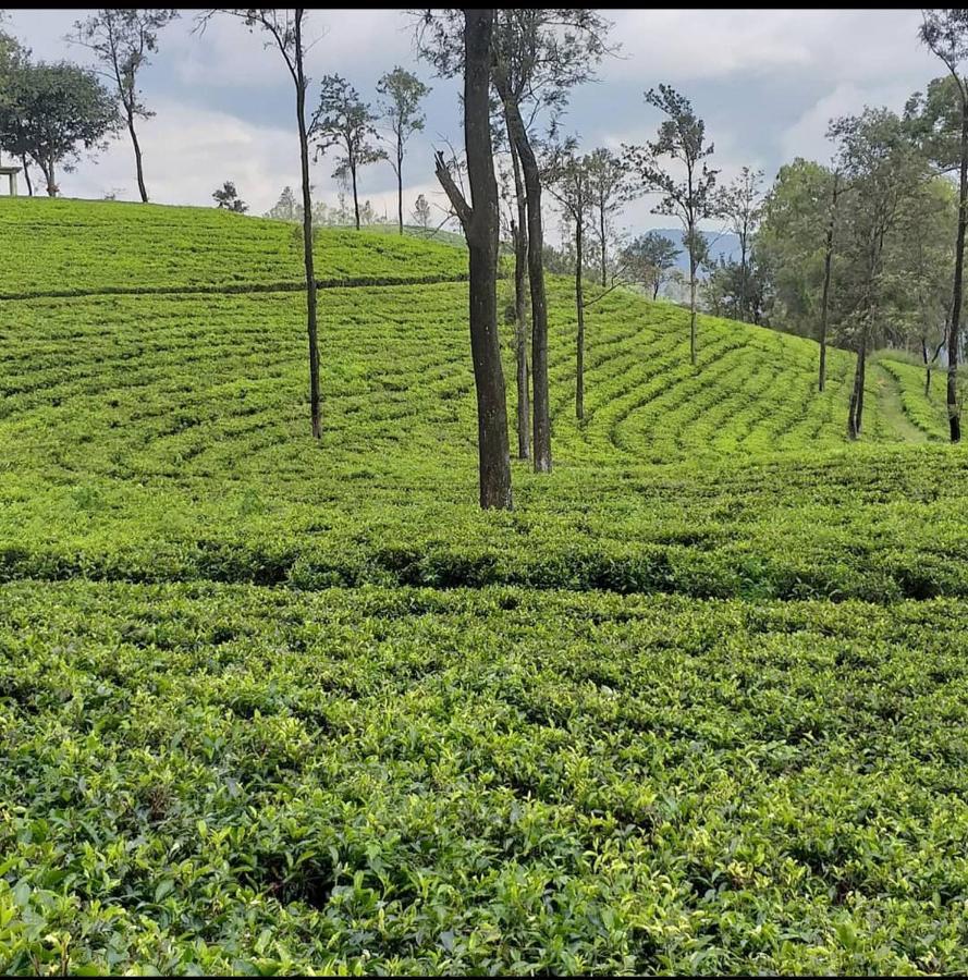 Tea Villas Ella Exteriér fotografie